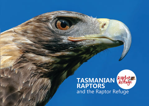 Tasmanian Raptors and the Raptor Refuge | HB