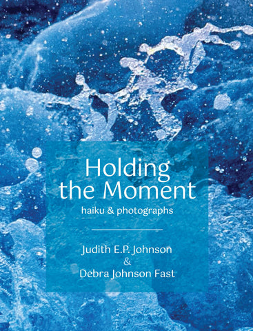 Holding the Moment by Judith E.P. Johnson & Debra Johnson Fast | PB
