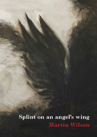 Splint on an angel's wing by Martin Wilson | PB
